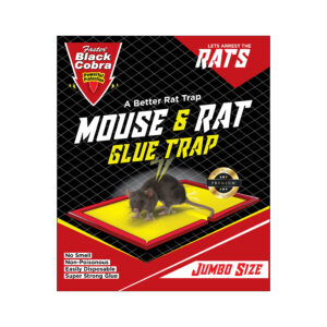 FASTER COBRA MOUSE RAT GLUE TRAP